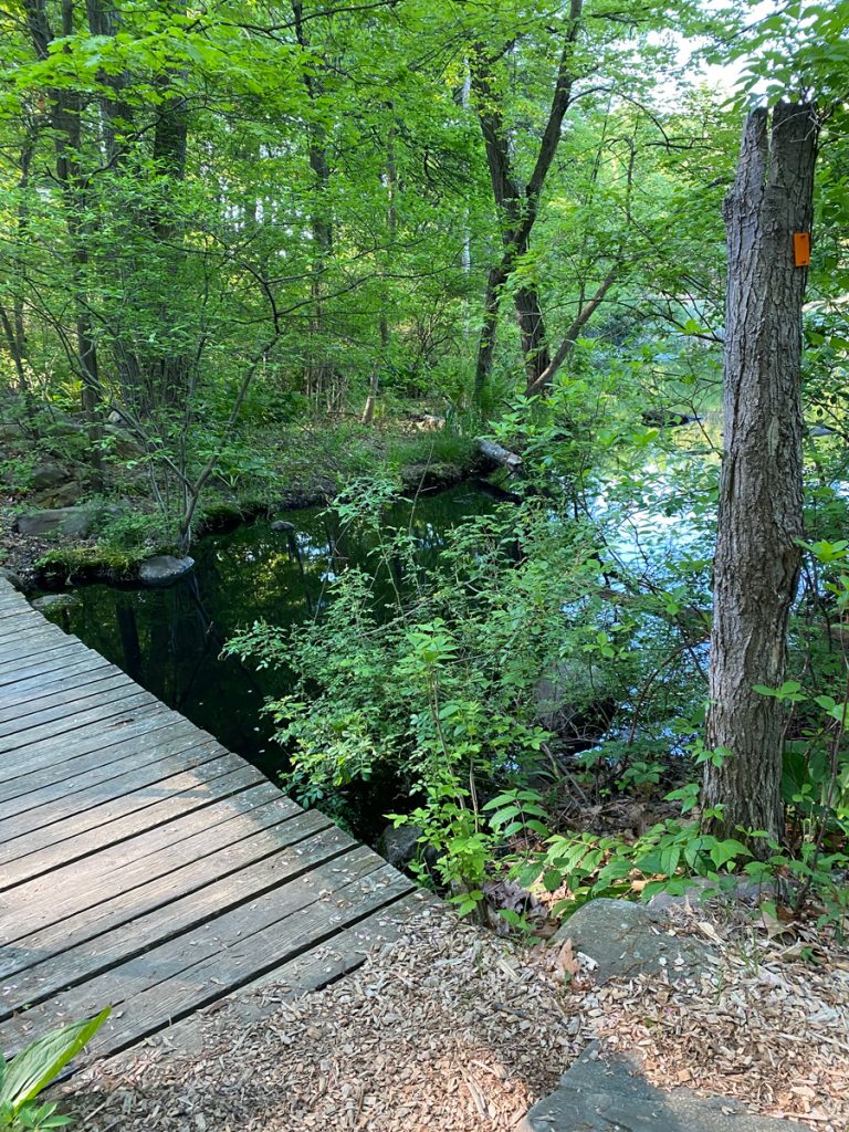 Footpath at Muriel Hepner Park in Denville NJ - DenvilleGuide.com
