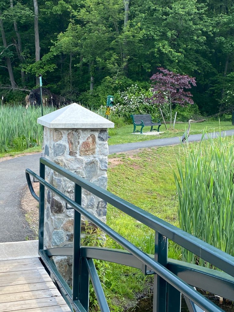 Spot the heron at Muriel Hepner Park in Denville NJ - DenvilleGuide.com