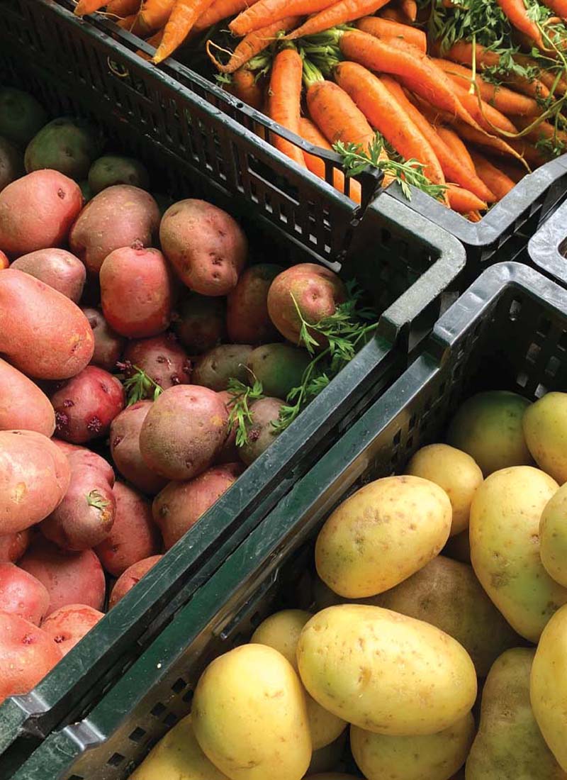 Farm to Table in Boonton