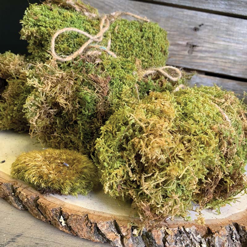 Bloomery Flower Market in Boonton, NJ - boontonguide.com