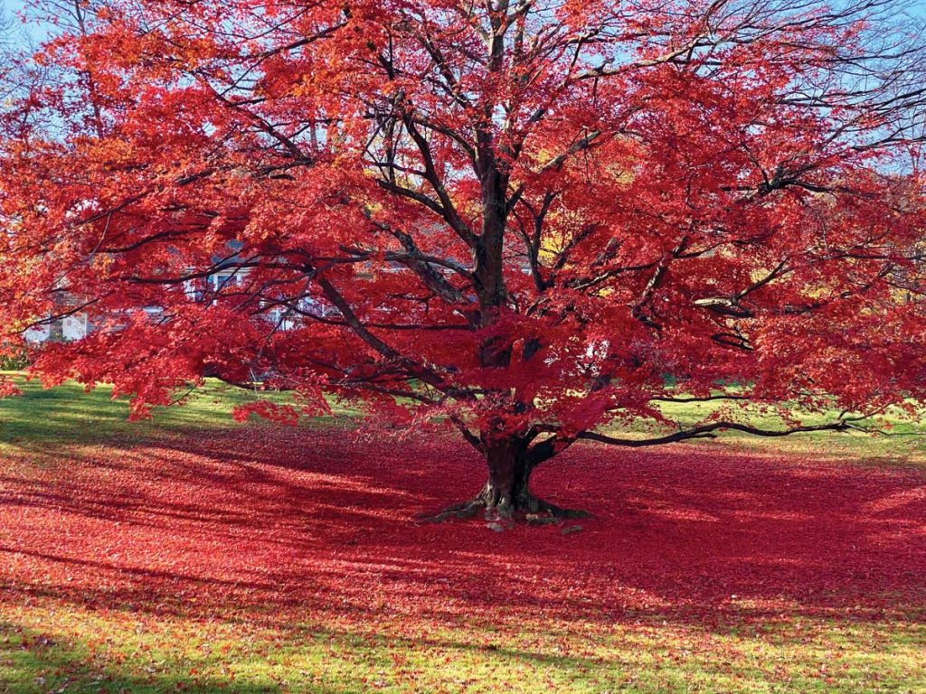 Fall in Denville, NJ - denvilleguide.com