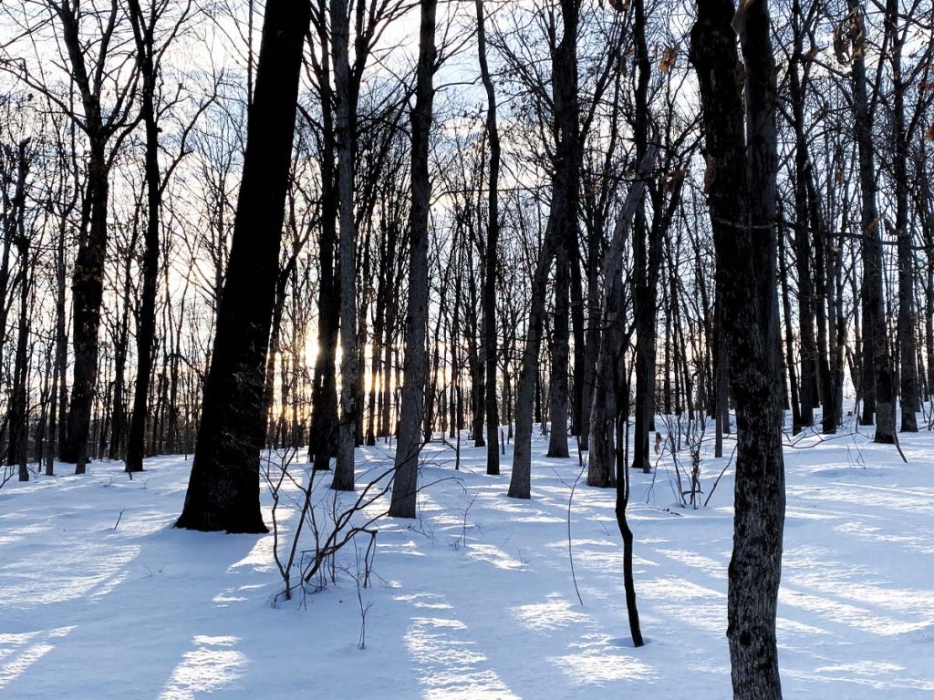 Muriel Hepner Park during Winter in Denville, NJ - denvilleguide.com