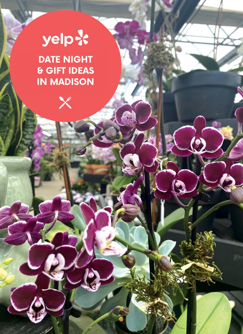 Yelp date night & gift ideas in Madison
