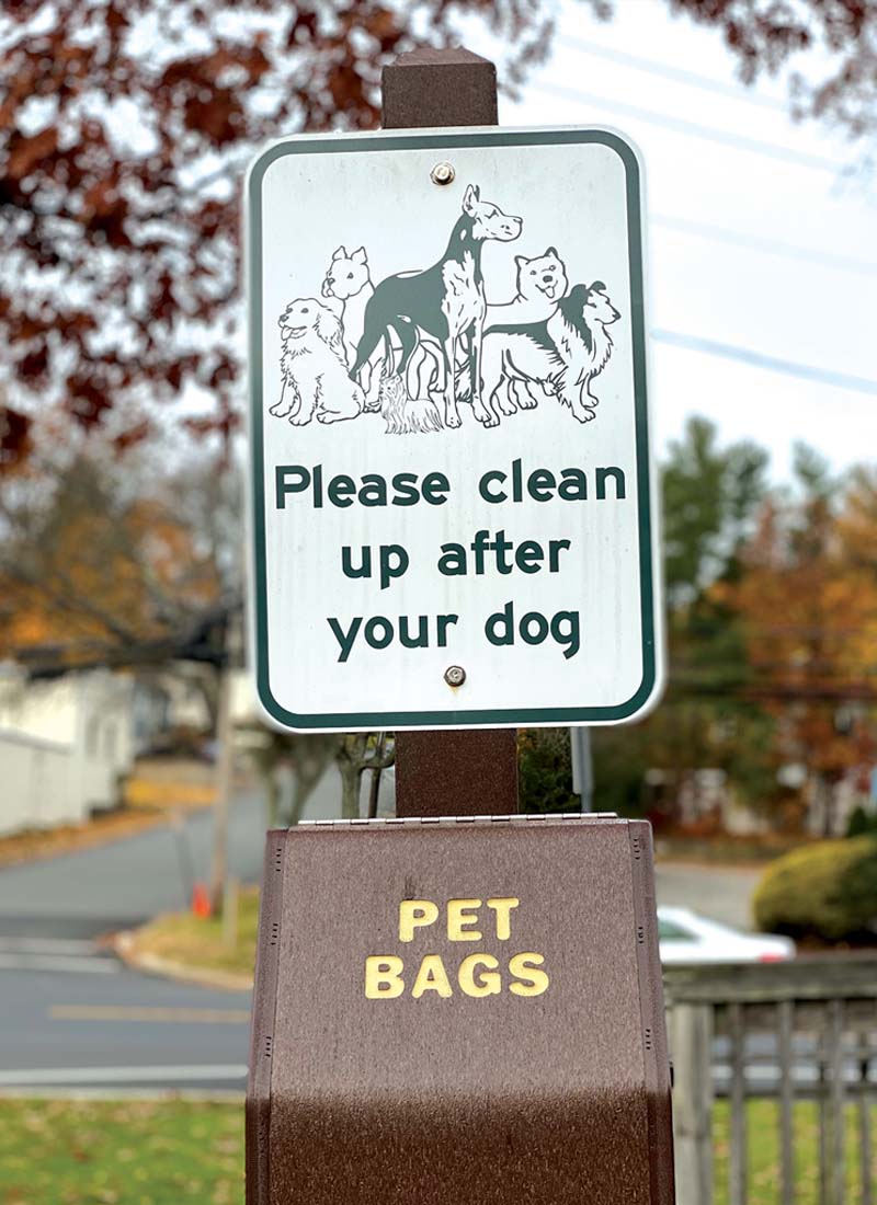 Pet Friendly Rockaway