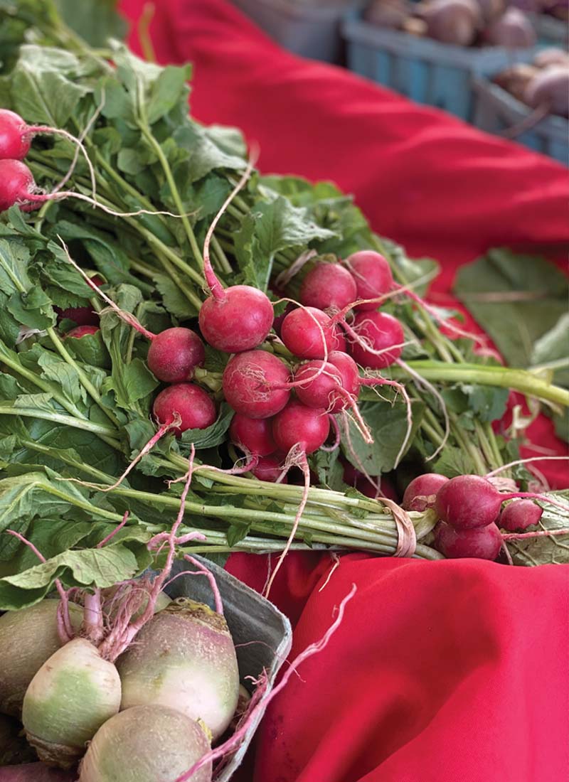 Grow It Green's Morris Winter Farmers Market in Morris Township, NJ - themorrisguide.com