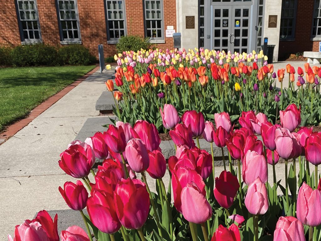 Spring in Denville, NJ - denvilleguide.com