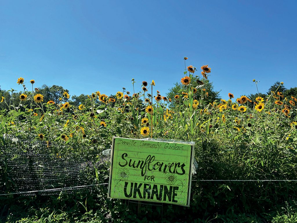 Summer in Denville, NJ - denvilleguide.com