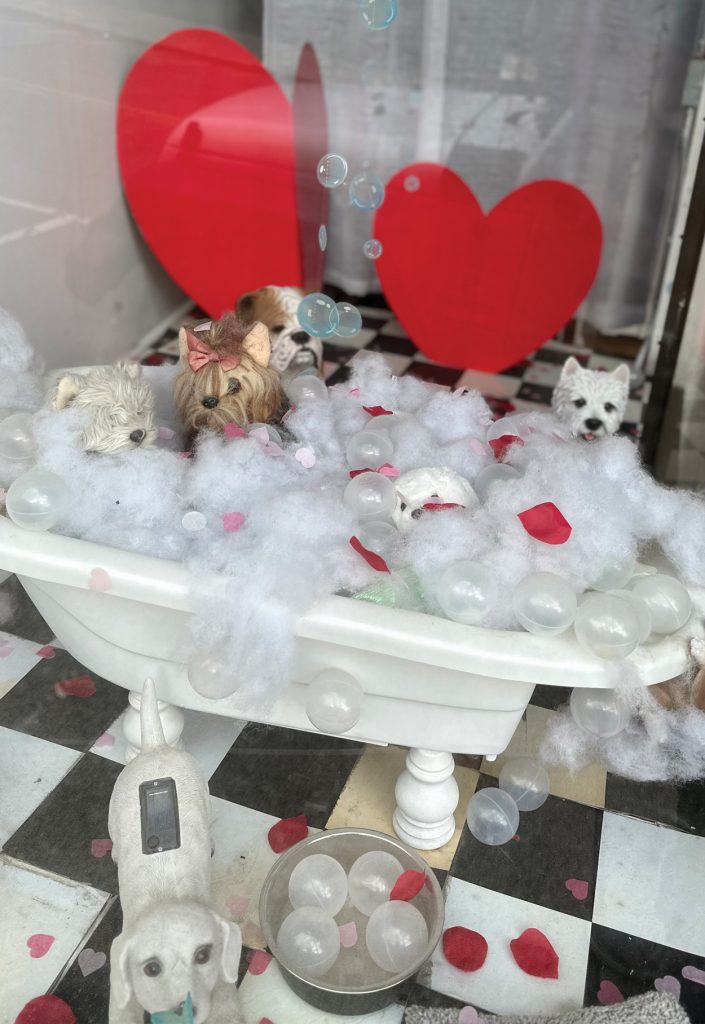 Details by Lisa Dog Grooming in Boonton, NJ - boontonguide.com