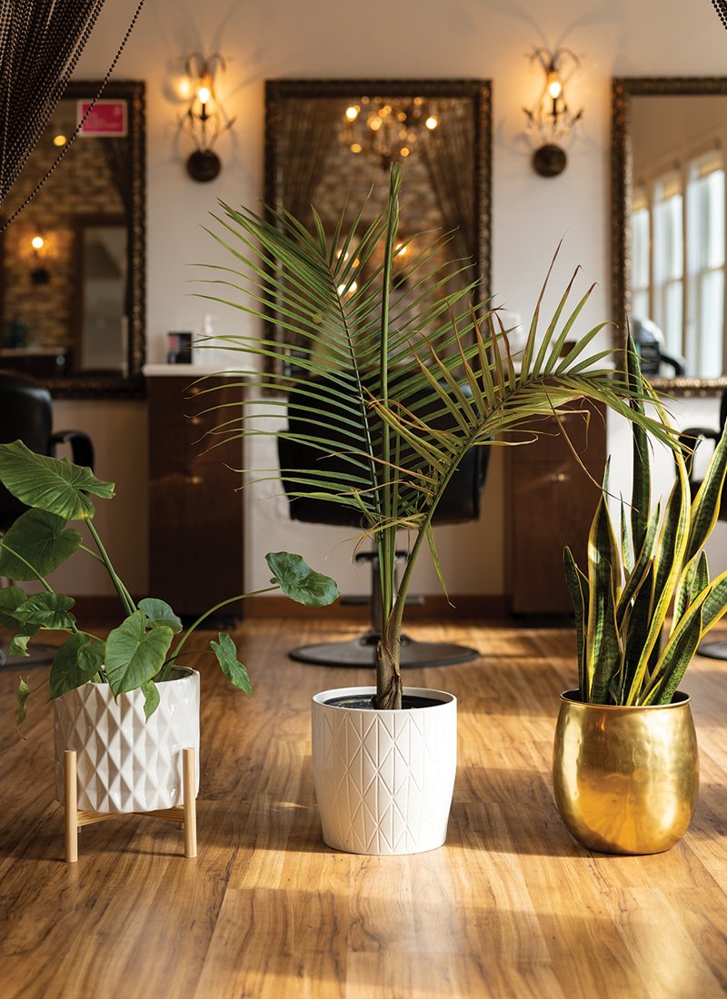 Lounge Hair Studio in Denville, NJ - denvilleguide.com