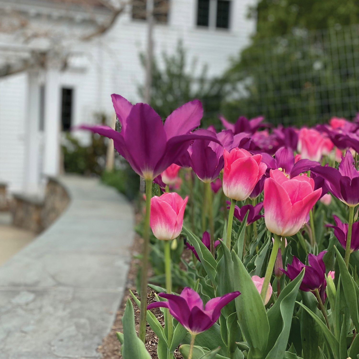 Frelinghuysen Arboretum in Morristown, NJ - themorrisguide.com
