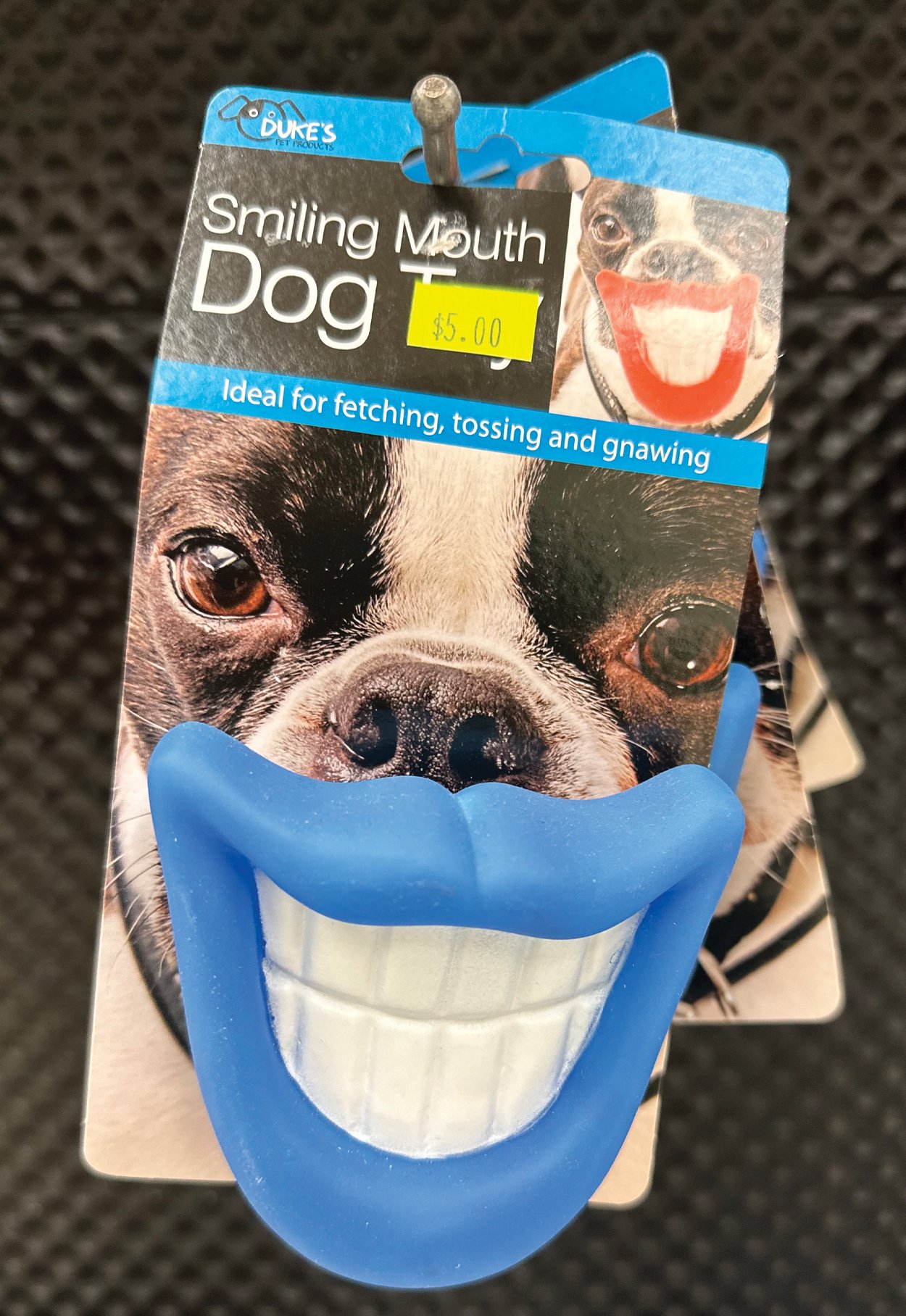 Dogs of Rockaway, NJ - rockawayguide.com