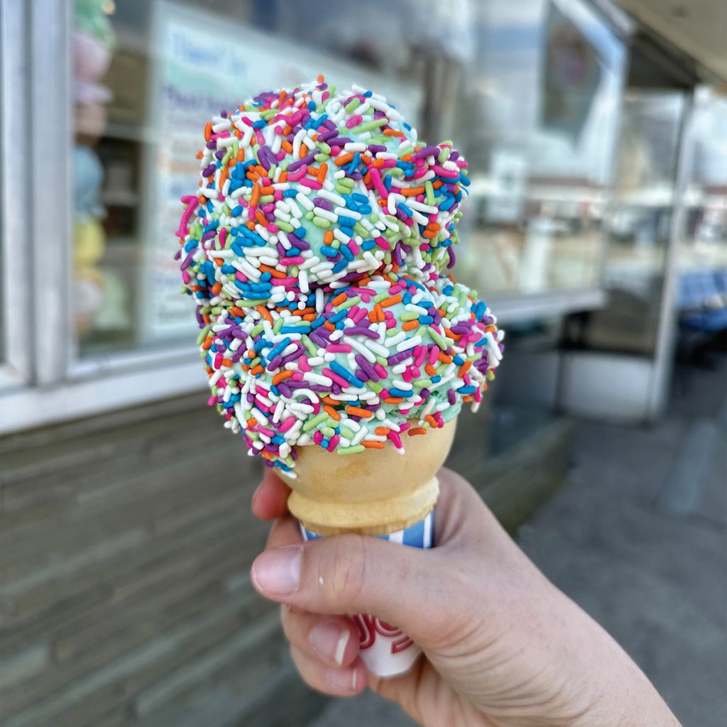 Mint Chocolate Chip Ice Cream from Curly's Ice Cream in Boonton, NJ - boontonguide.com