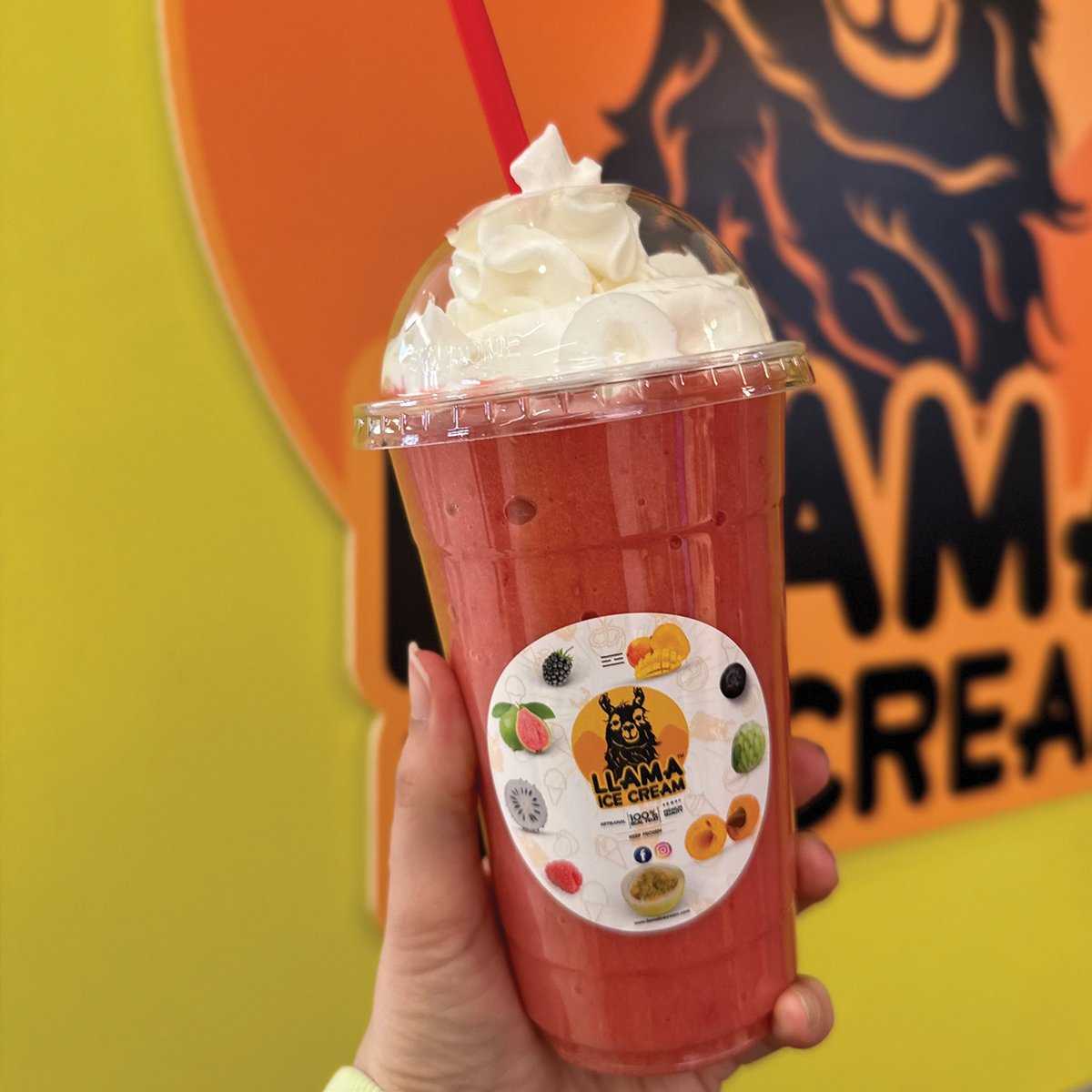 Sorbet Shake from Llama Ice Cream in Rockaway, NJ - rockawayguide.com