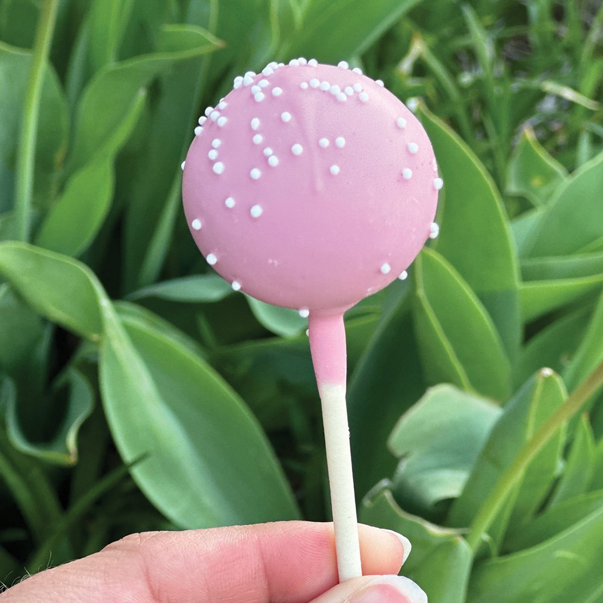 Cake Pop from Starbucks in Rockaway, NJ - rockawayguide.com