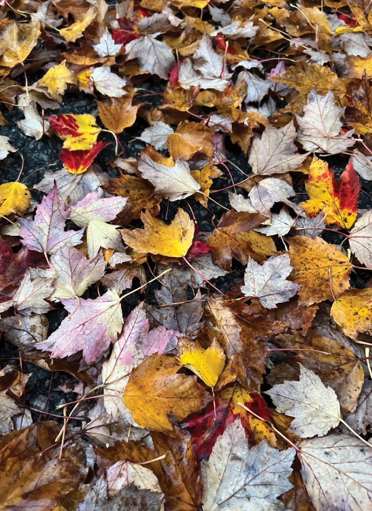Fall walks in Boonton, NJ - boontonguide.com