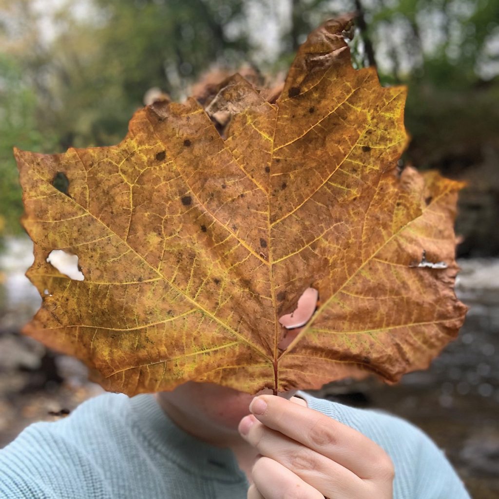 Fall walks in Boonton, NJ - boontonguide.com