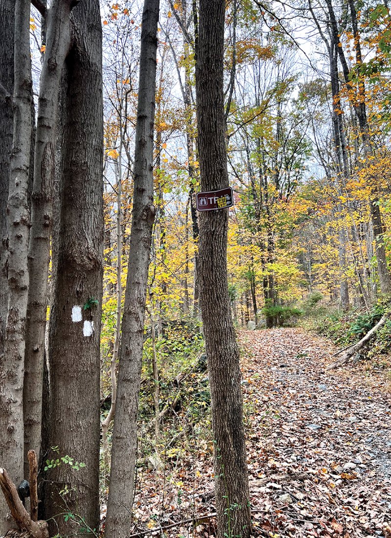 Fall in Rockaway, NJ - rockawayguide.com