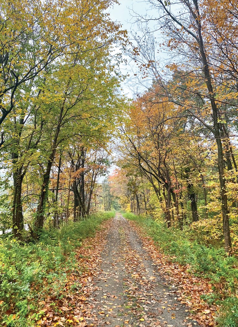 Fall in Rockaway, NJ - rockawayguide.com