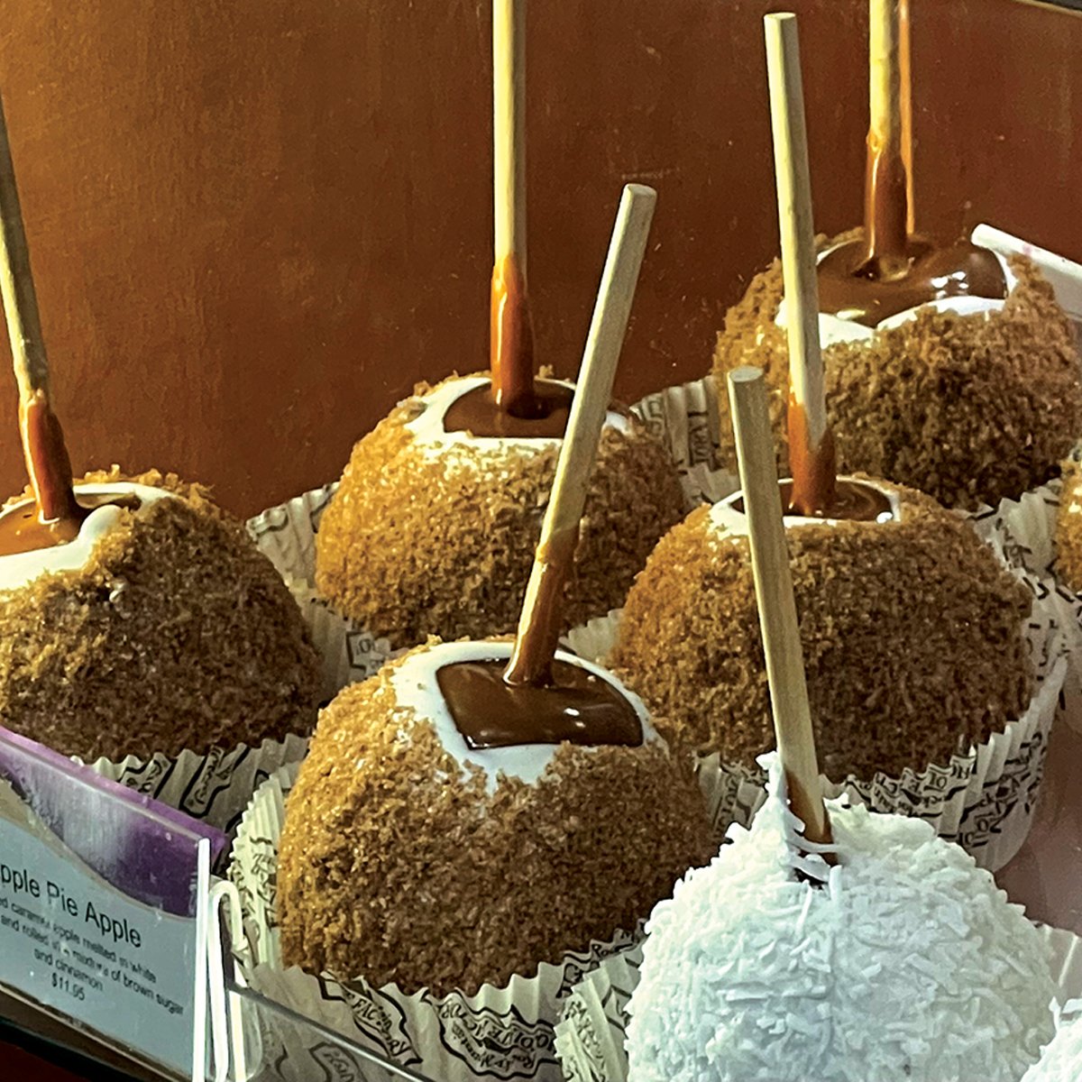 Rocky Mountain Chocolate Factory in Rockaway, NJ - rockawayguide.com