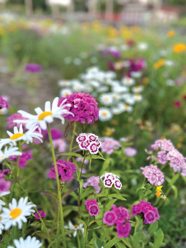 Signs of Spring in Boonton, NJ - boontonguide.com