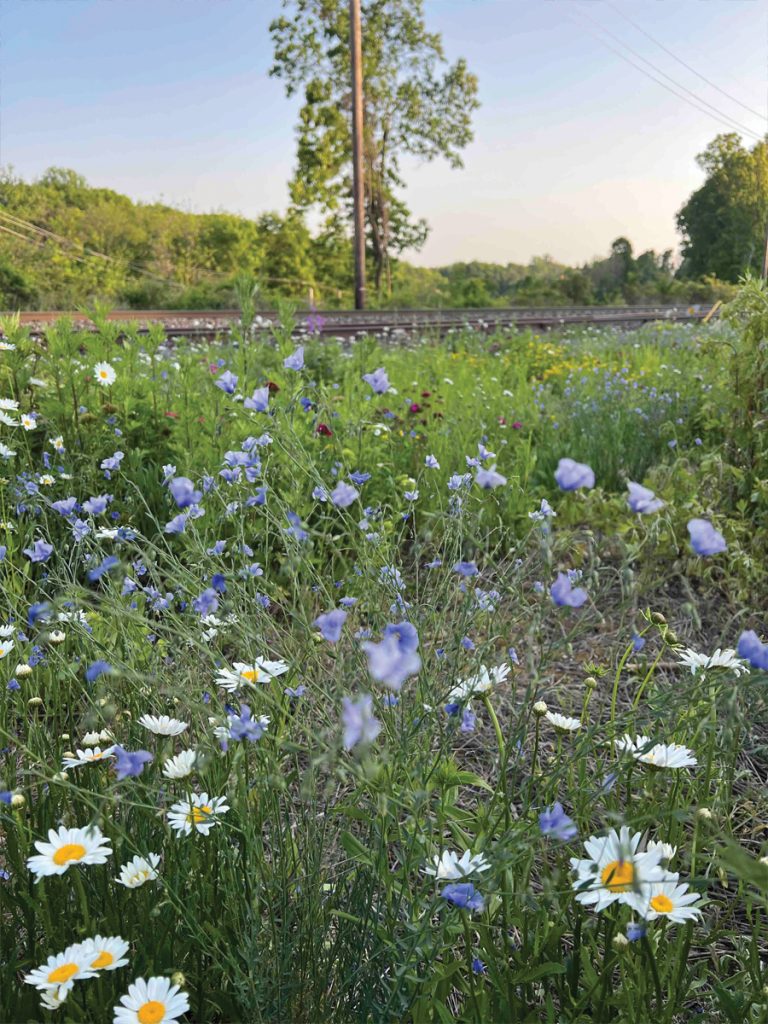 Signs of Spring in Boonton, NJ - boontonguide.com