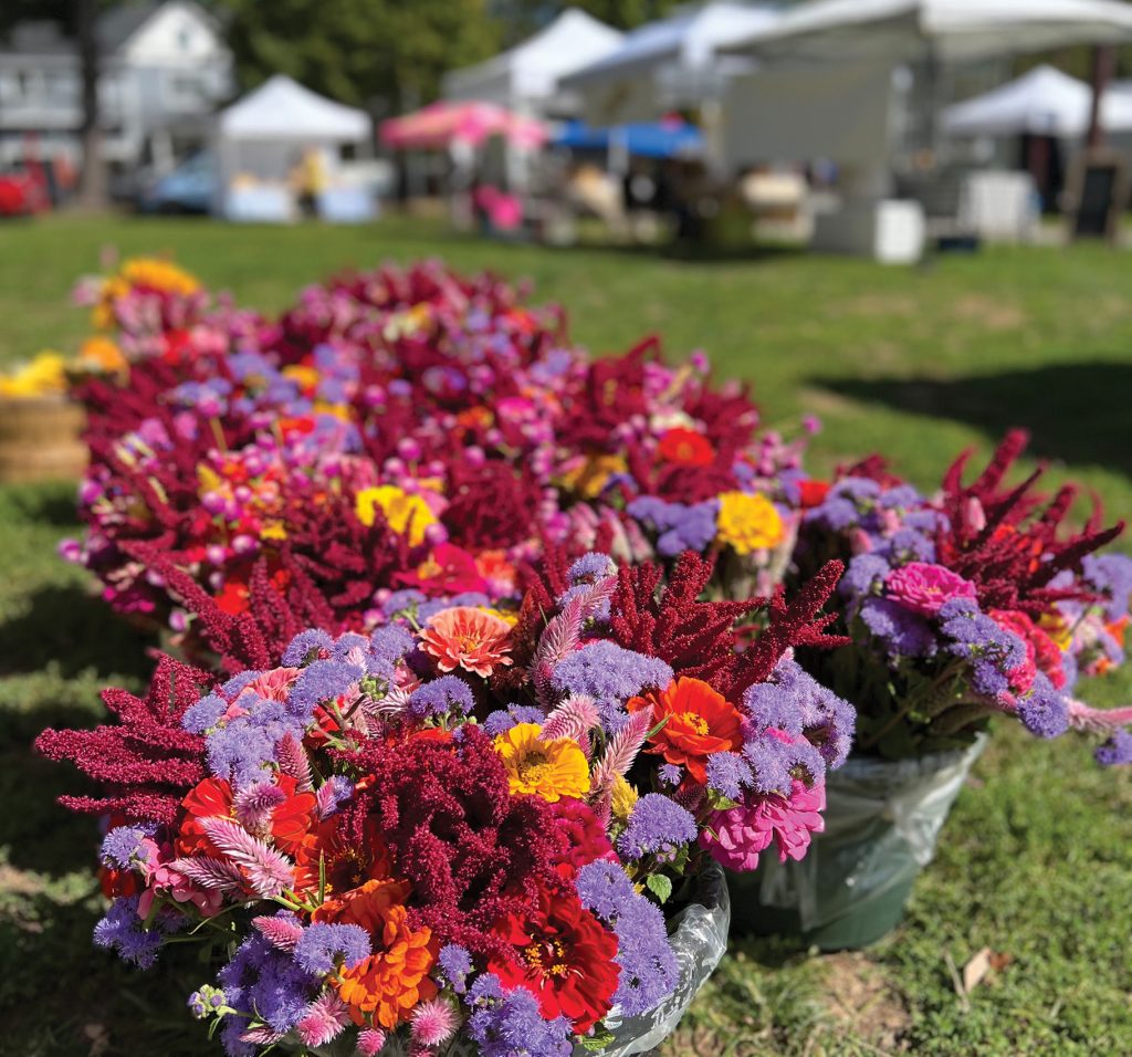 Madison, NJ - morriscountynj.com